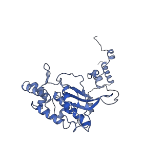 20952_6uz7_AD_v1-2
K.lactis 80S ribosome with p/PE tRNA and eIF5B