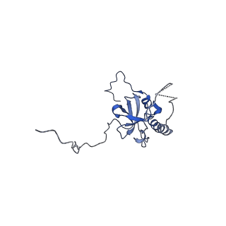 20952_6uz7_AE_v1-1
K.lactis 80S ribosome with p/PE tRNA and eIF5B