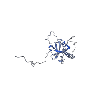 20952_6uz7_AE_v1-2
K.lactis 80S ribosome with p/PE tRNA and eIF5B