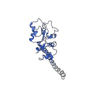 20952_6uz7_AF_v1-1
K.lactis 80S ribosome with p/PE tRNA and eIF5B