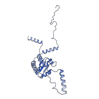 20952_6uz7_AG_v1-1
K.lactis 80S ribosome with p/PE tRNA and eIF5B