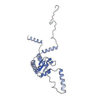 20952_6uz7_AG_v1-2
K.lactis 80S ribosome with p/PE tRNA and eIF5B