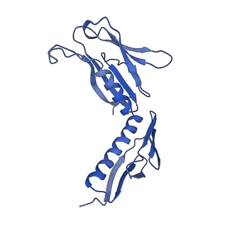 20952_6uz7_AH_v1-1
K.lactis 80S ribosome with p/PE tRNA and eIF5B