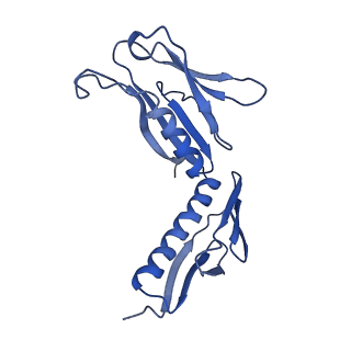 20952_6uz7_AH_v1-2
K.lactis 80S ribosome with p/PE tRNA and eIF5B