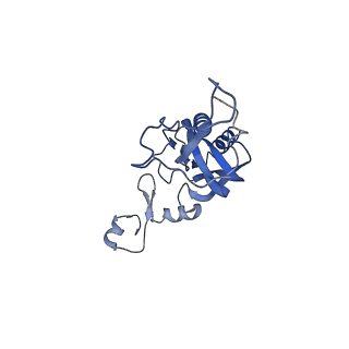 20952_6uz7_AI_v1-1
K.lactis 80S ribosome with p/PE tRNA and eIF5B