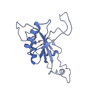 20952_6uz7_AJ_v1-1
K.lactis 80S ribosome with p/PE tRNA and eIF5B