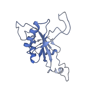 20952_6uz7_AJ_v1-2
K.lactis 80S ribosome with p/PE tRNA and eIF5B