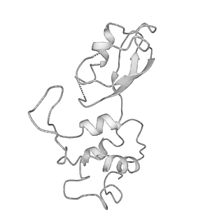 20952_6uz7_AK_v1-1
K.lactis 80S ribosome with p/PE tRNA and eIF5B