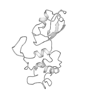 20952_6uz7_AK_v1-2
K.lactis 80S ribosome with p/PE tRNA and eIF5B