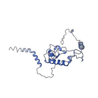 20952_6uz7_AL_v1-1
K.lactis 80S ribosome with p/PE tRNA and eIF5B