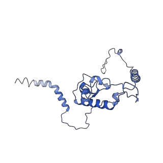 20952_6uz7_AL_v1-2
K.lactis 80S ribosome with p/PE tRNA and eIF5B