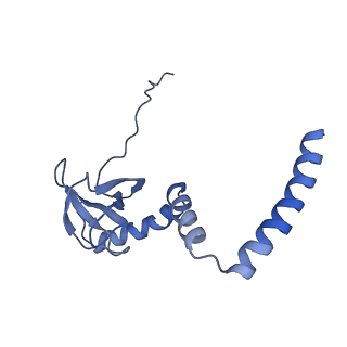 20952_6uz7_AM_v1-1
K.lactis 80S ribosome with p/PE tRNA and eIF5B