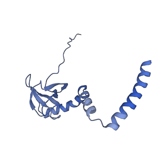 20952_6uz7_AM_v1-2
K.lactis 80S ribosome with p/PE tRNA and eIF5B