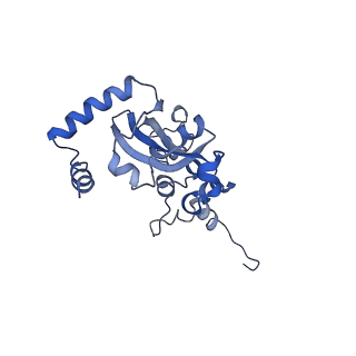 20952_6uz7_AN_v1-1
K.lactis 80S ribosome with p/PE tRNA and eIF5B