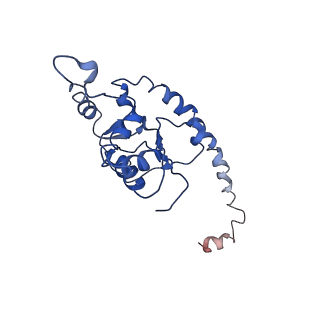 20952_6uz7_AO_v1-1
K.lactis 80S ribosome with p/PE tRNA and eIF5B