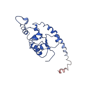 20952_6uz7_AO_v1-2
K.lactis 80S ribosome with p/PE tRNA and eIF5B