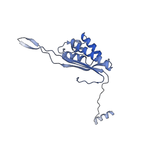20952_6uz7_AP_v1-1
K.lactis 80S ribosome with p/PE tRNA and eIF5B