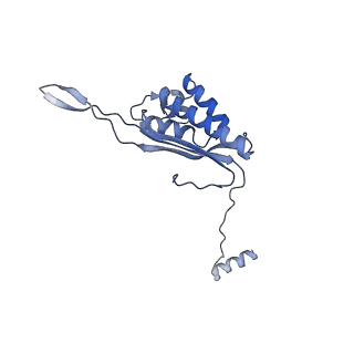 20952_6uz7_AP_v1-2
K.lactis 80S ribosome with p/PE tRNA and eIF5B