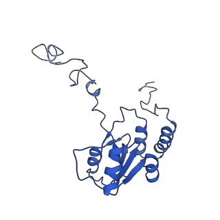 20952_6uz7_AQ_v1-1
K.lactis 80S ribosome with p/PE tRNA and eIF5B