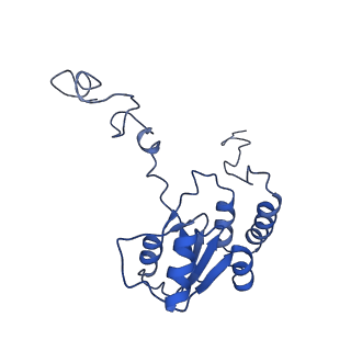 20952_6uz7_AQ_v1-2
K.lactis 80S ribosome with p/PE tRNA and eIF5B