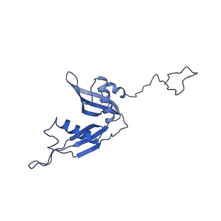 20952_6uz7_AS_v1-1
K.lactis 80S ribosome with p/PE tRNA and eIF5B