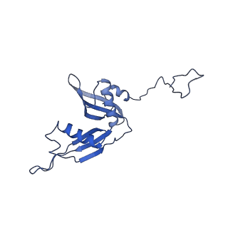 20952_6uz7_AS_v1-2
K.lactis 80S ribosome with p/PE tRNA and eIF5B