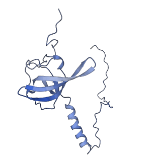 20952_6uz7_AT_v1-1
K.lactis 80S ribosome with p/PE tRNA and eIF5B