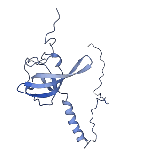 20952_6uz7_AT_v1-2
K.lactis 80S ribosome with p/PE tRNA and eIF5B