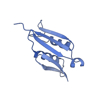 20952_6uz7_AU_v1-1
K.lactis 80S ribosome with p/PE tRNA and eIF5B