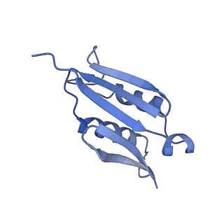 20952_6uz7_AU_v1-2
K.lactis 80S ribosome with p/PE tRNA and eIF5B