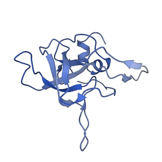 20952_6uz7_AV_v1-1
K.lactis 80S ribosome with p/PE tRNA and eIF5B
