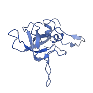 20952_6uz7_AV_v1-2
K.lactis 80S ribosome with p/PE tRNA and eIF5B