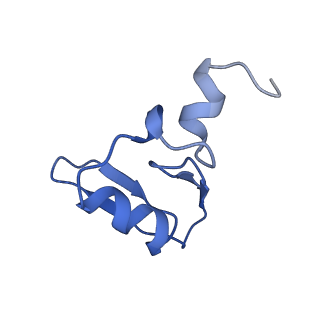 20952_6uz7_AW_v1-1
K.lactis 80S ribosome with p/PE tRNA and eIF5B