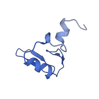 20952_6uz7_AW_v1-2
K.lactis 80S ribosome with p/PE tRNA and eIF5B