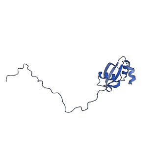 20952_6uz7_AX_v1-2
K.lactis 80S ribosome with p/PE tRNA and eIF5B