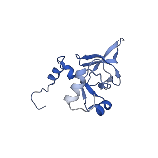 20952_6uz7_AY_v1-1
K.lactis 80S ribosome with p/PE tRNA and eIF5B