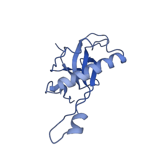 20952_6uz7_AZ_v1-1
K.lactis 80S ribosome with p/PE tRNA and eIF5B