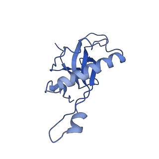 20952_6uz7_AZ_v1-2
K.lactis 80S ribosome with p/PE tRNA and eIF5B