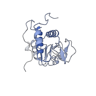 20952_6uz7_A_v1-1
K.lactis 80S ribosome with p/PE tRNA and eIF5B
