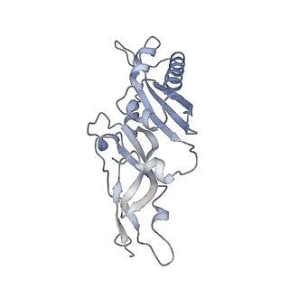 20952_6uz7_B_v1-1
K.lactis 80S ribosome with p/PE tRNA and eIF5B