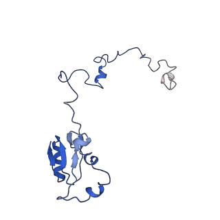 20952_6uz7_Ba_v1-1
K.lactis 80S ribosome with p/PE tRNA and eIF5B