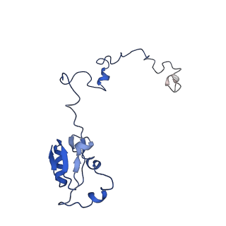 20952_6uz7_Ba_v1-2
K.lactis 80S ribosome with p/PE tRNA and eIF5B