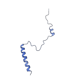 20952_6uz7_Bb_v1-1
K.lactis 80S ribosome with p/PE tRNA and eIF5B