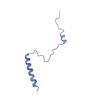 20952_6uz7_Bb_v1-2
K.lactis 80S ribosome with p/PE tRNA and eIF5B