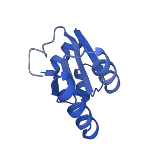 20952_6uz7_Bc_v1-1
K.lactis 80S ribosome with p/PE tRNA and eIF5B