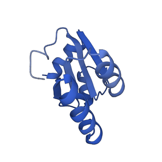 20952_6uz7_Bc_v1-2
K.lactis 80S ribosome with p/PE tRNA and eIF5B