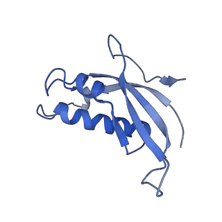 20952_6uz7_Bd_v1-1
K.lactis 80S ribosome with p/PE tRNA and eIF5B