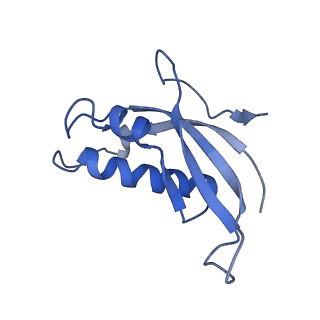 20952_6uz7_Bd_v1-2
K.lactis 80S ribosome with p/PE tRNA and eIF5B