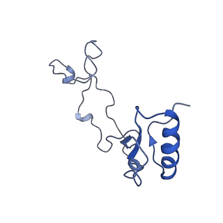 20952_6uz7_Be_v1-1
K.lactis 80S ribosome with p/PE tRNA and eIF5B