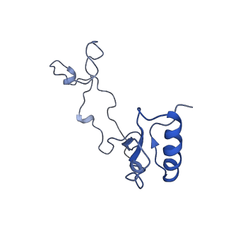 20952_6uz7_Be_v1-2
K.lactis 80S ribosome with p/PE tRNA and eIF5B
